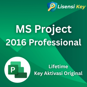 Microsoft Project 2016 Professional Key Original