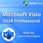 Microsoft Visio 2024 Professional Key Original BIND Key