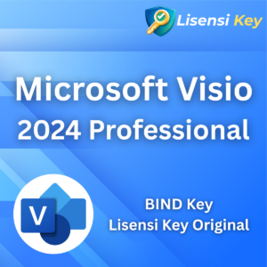 Microsoft Visio 2024 Professional Key Original BIND Key